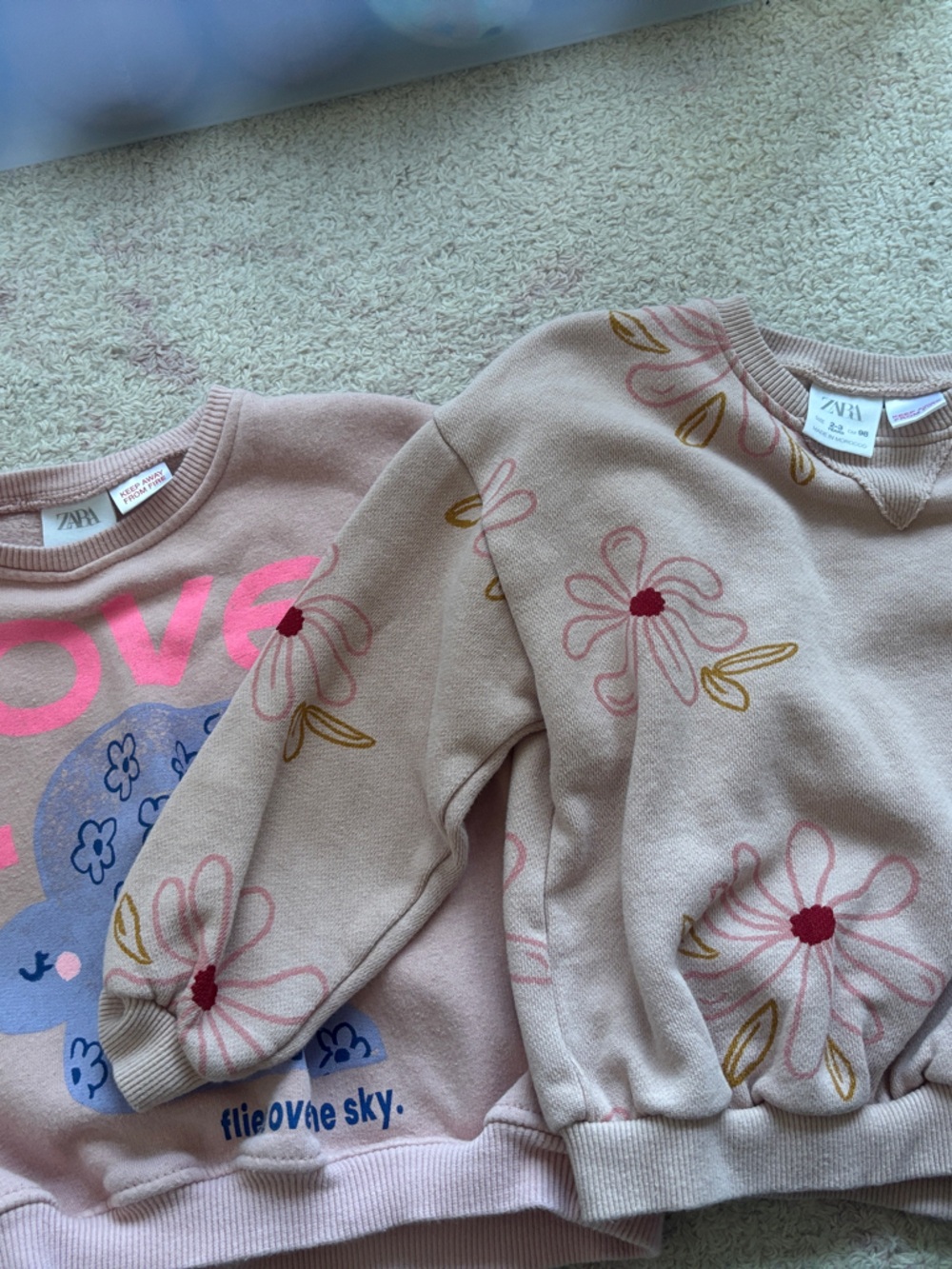 Zara Girls Pink Graphic & Floral Sweatshirt Set